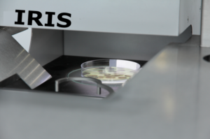 Iris Petri dish loading unit 'Irina'